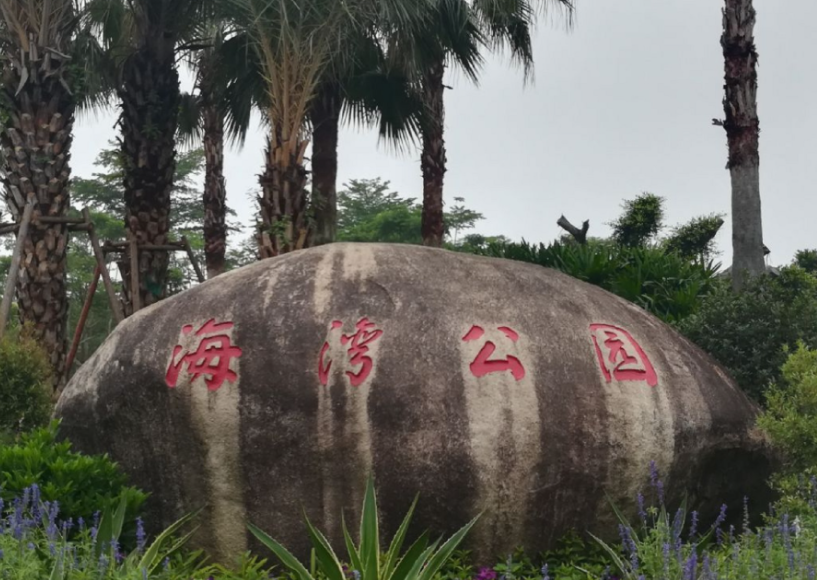 海灣園墓地提供哪些不同類型的墓葬選擇？