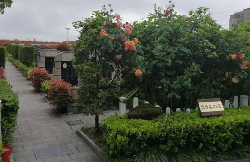 至尊園的墓地面積大小是怎樣的？